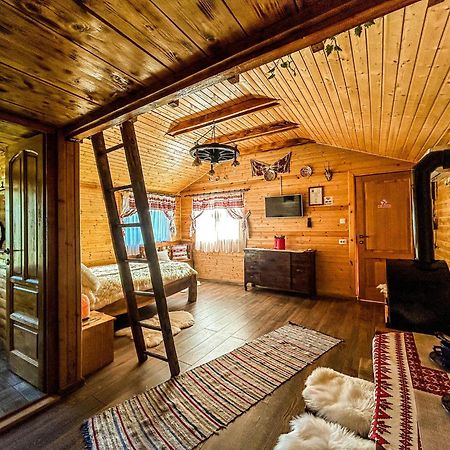 סיגישוארה Chalets Du Bf מראה חיצוני תמונה