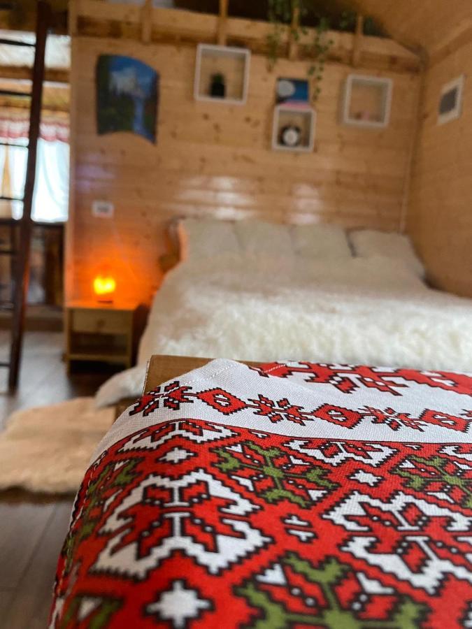סיגישוארה Chalets Du Bf מראה חיצוני תמונה