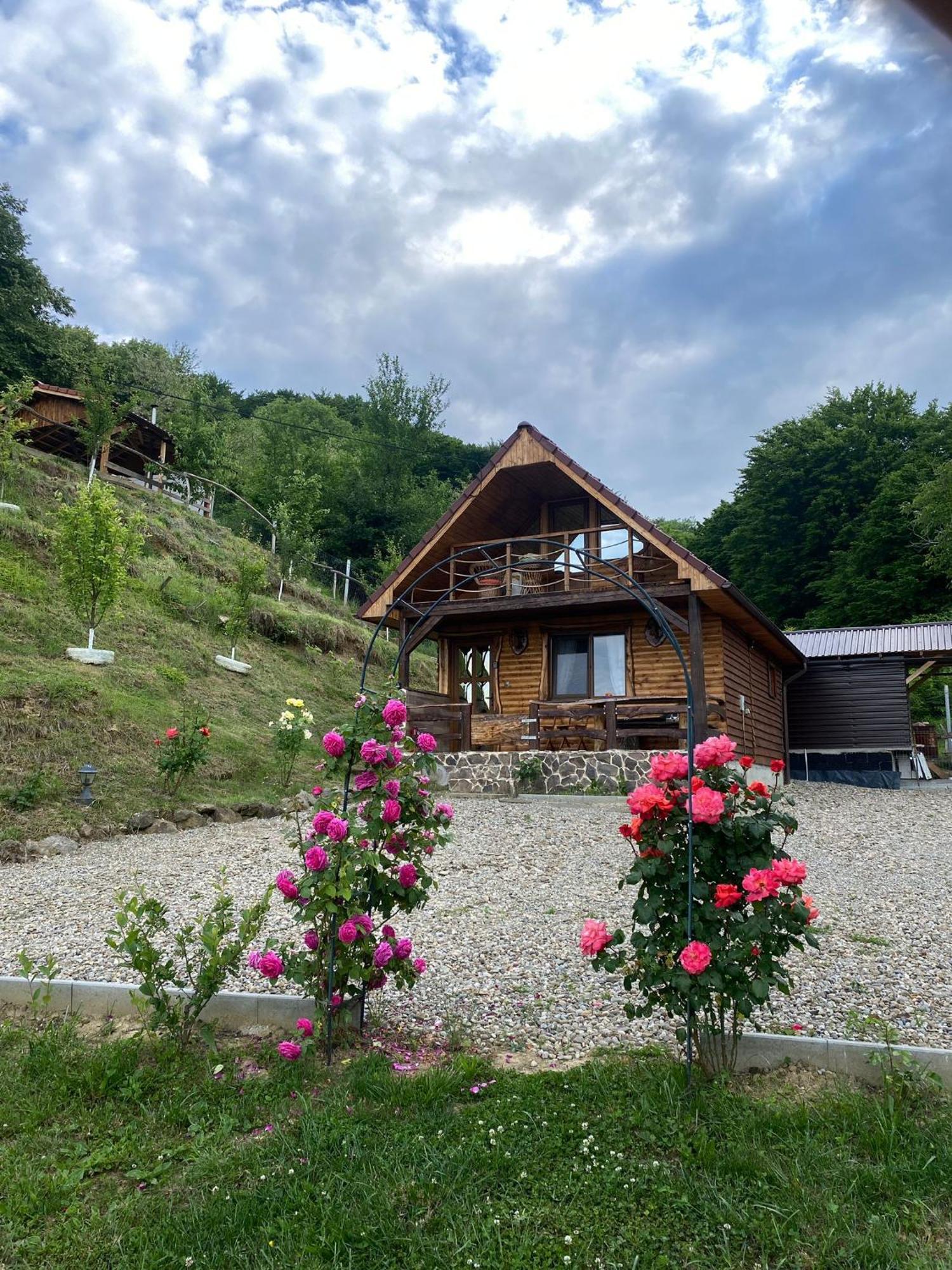 סיגישוארה Chalets Du Bf מראה חיצוני תמונה