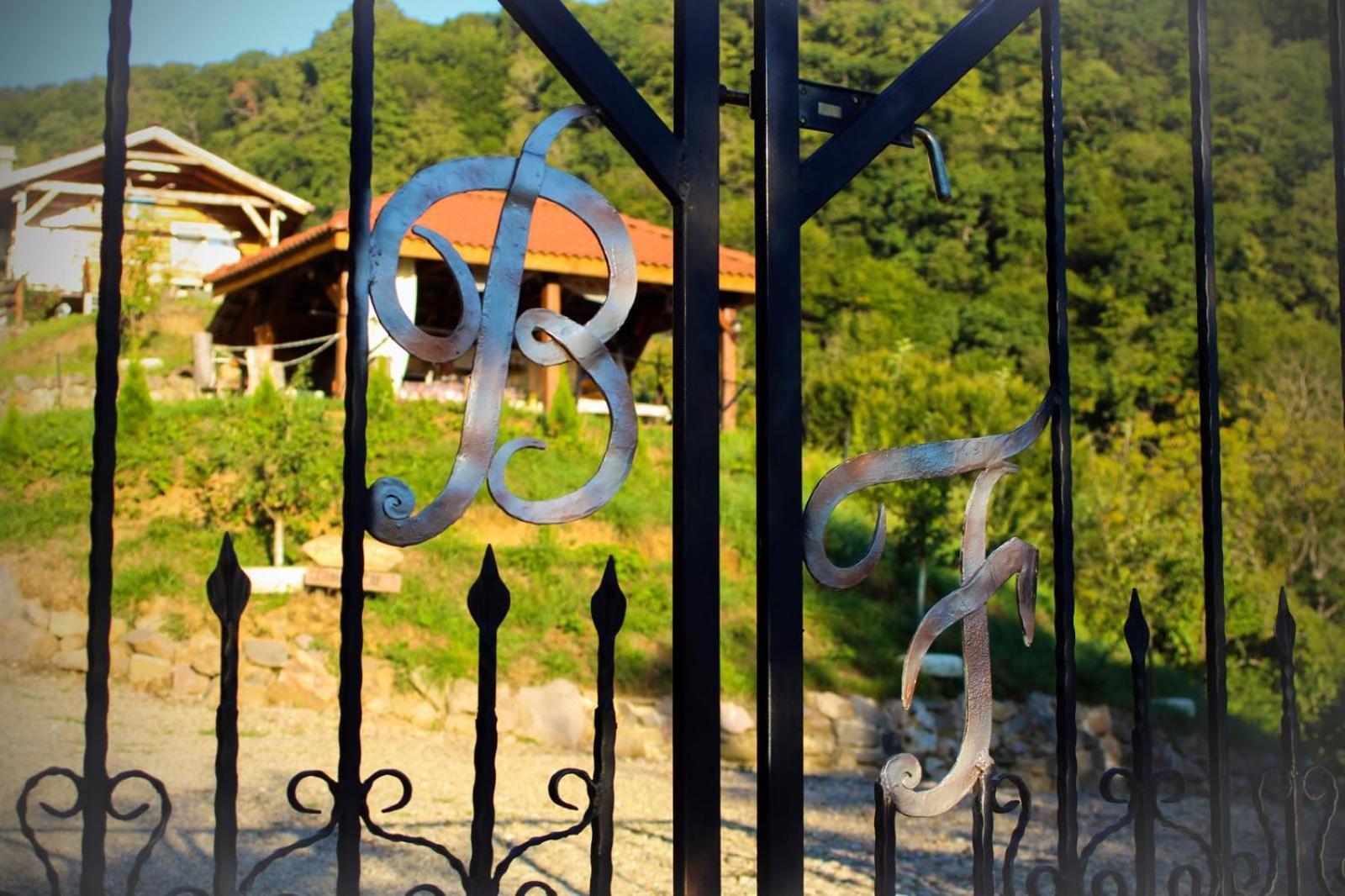 סיגישוארה Chalets Du Bf מראה חיצוני תמונה