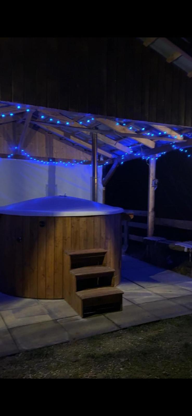 סיגישוארה Chalets Du Bf מראה חיצוני תמונה